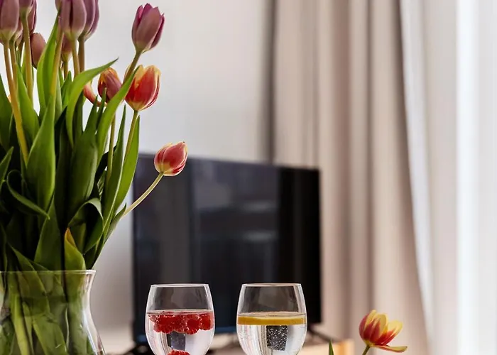 Stare Ld Apartamento